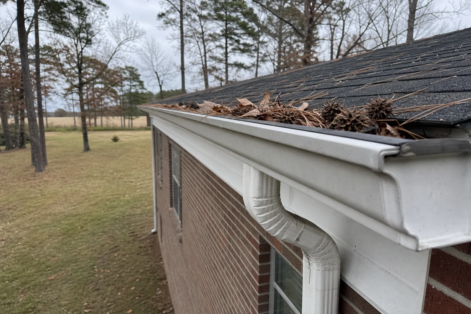Redfield Arkansas rural brick home gutter packed with pine needles oak leaves and sweetgum pods beside a downspout