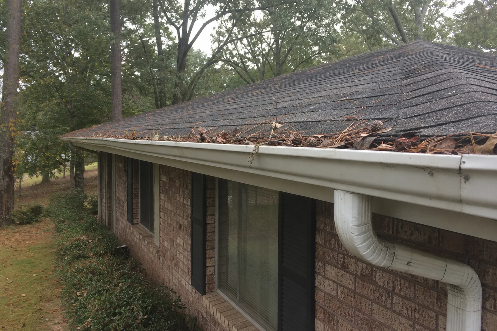 White Hall Arkansas gutter debris along a brick ranch roofline with pine needles leaves and sweetgum pods near the downspout